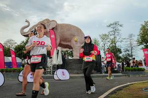 BIB: 
                            <button type="button" onclick="openModal(26528647)" class="btn btn-primary btn-sm float-right btn-popup" data-toggle="modal" data-target=".modal-high-quality">
                        <i class="fas fa-shopping-cart"></i> Add to Cart
                    </button>
                                            <button type="button" onclick="isThisMe(26528647, true)" class="btn btn-success btn-sm float-right btn-popup btn-isme hidden" data-toggle="tooltip" data-placement="bottom" title="นี่คือรูปของคุณใช่ไหม คลิกที่นี่เพื่อเอาเข้าอัลบั้ม">
                        <i class="fas fa-plus"></i> Add to album
                    </button>
                    <button type="button" onclick="isThisMe(26528647, false)" class="btn btn-warning btn-sm float-right btn-popup btn-isnotme hidden">
                        <i class="fas fa-ban"></i> Remove from album
                    </button>